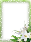 Green-PNG Photo Frame with Flowers
