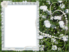 Green Floral Transparent PNG Frame