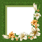 Green Transparent Frame with Flowers