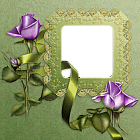 Green Transparent Frame with Purple Roses