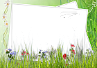 Green and White Transparent Frame with Field Flowers