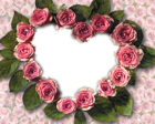 Hearts Of Roses Transparent Frame