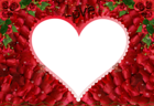 Love Rose Red Transparent PNG Photo Frame