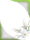 Nice Green-PNG Frame with White Flowers