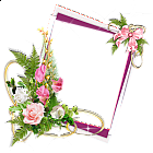 Pink Frame with Roses and Ribbon