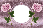 Pink PNG Transparent Frame with Pink Roses