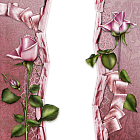 Pink Roses Beautiful Transparent Frame