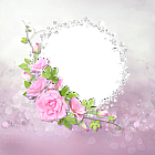 Pink Roses with Diamonds Transparent Frame