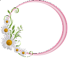 Pink Round Frame with Daisies