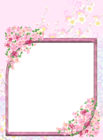 Pink Transparent Flowers PNG Photo Frame