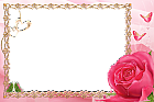 Pink Transparent Frame with Rose