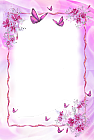 Pink Transparent Frame with Butterflies