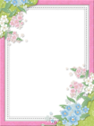 Pink Transparent Frame with Flowers