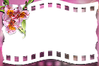 Pink Transparent Frame with Pink Flower