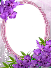 Pink Transparent Frame with Purple Flowers