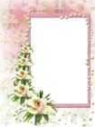 Pink and White Flowers Frame with Pearls