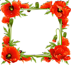 Poppies Transparent Frame