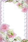 Real Flowers Transparent PNG Photo Frame