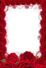 Red Rose Transparent PNG Frame