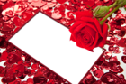 Red Roses and Hearts Transparent PNG Photo Frame