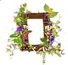 Shining Transparent Frame with Wild Flowers and Moon