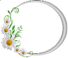 Silver Round Frame with Daisies
