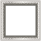 Silver Transparen PNG Photo Frame with Ornaments
