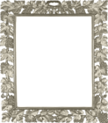 Silver Transparent PNG Photo Frame with Vine
