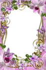 Transparent Delicate Frame with Flowers