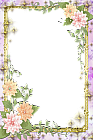 Transparent Flowers Frame