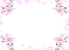 Transparent Frame with Pink Soft Flowers
