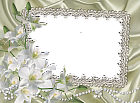 Transparent Frame with White Lilium Flowers