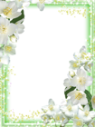 Transparent Green Flowers Frame