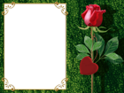 Transparent Green PNG Photo Frame with Rose and Heart