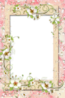 Transparent PNG Frame with Flowers