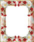 Transparent PNG Photo Frame with Yellow Poppies