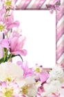 Transparent PNG Pink Frame with Flowers
