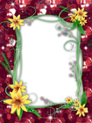 Transparent PNG Red Frame with Yellow Flowers