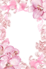 Transparent Pink Flowers PNG Photo Frame