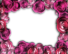 Transparent Pink Roses Frame
