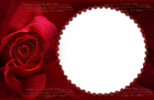 Transparent Red Rose Frame