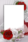 Transparent Romantic Frame with White and Red Rose