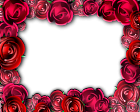 Transparent Roses Frame