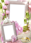 Transparent Wedding Frame with Rings and Doves
