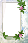 Transparent White Photo Frame with Flowers