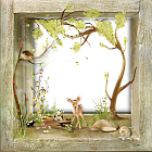 Transparent Wooden Frame in Wild Style