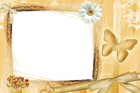 Transparent Yellow Frame with Daisy