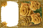 Transparent Yellow Roses Frame