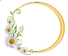 Yellow Round Frame with Daisies