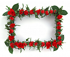 photo frame 253